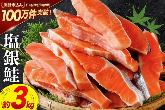 鮭 訳あり 銀鮭 切身 約3kg [宮城東洋 宮城県 気仙沼市 20564992] 鮭 魚介類 海鮮 訳アリ 規格外 不揃い さけ サケ 鮭切身 シャケ 切り身 冷凍 家庭用 おかず 弁当 支援 サーモン 銀鮭切り身 魚 わけあり CF01