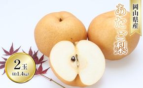 梨 2026年 先行予約 あたご梨 2玉 青秀以上 (約1.4kg) 化粧箱入り[№5735-2016]