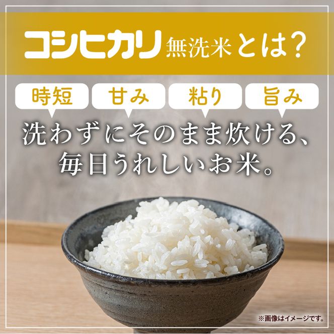 令和7年産 茨城県産 無洗米コシヒカリ10kg（5kg×2袋）【お米 米 コメ こめ こしひかり 無洗米 北茨城市 茨城県】(AL257)