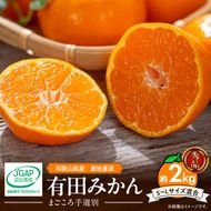 ZE6418_【2026年先行予約】【秀品】和歌山県産　有田みかん 約2kg （S～Ｌサイズ混合）【まごころ手選別】