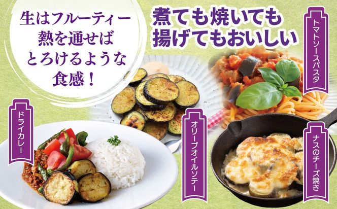099H4539 【先行予約】朝採り直送 徳用水なす 15個 訳あり 規格外