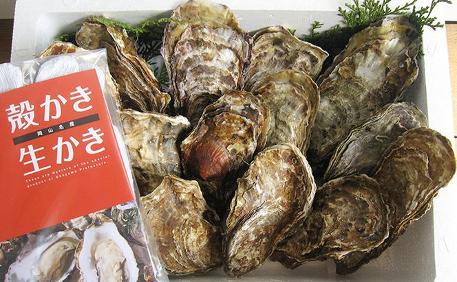 牡蠣 2026年 先行予約 殻付き 大つぶ牡蠣 30個 山銀商店 瀬戸内海虫明湾産 大粒 