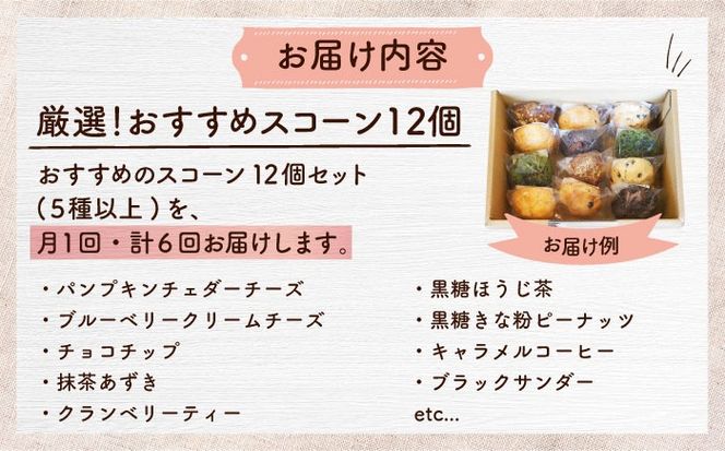 【全6回定期便】厳選おすすめ スコーン 12個セット 焼き菓子 焼菓子 お菓子 冷凍 個包装 沖縄市 / ZEBRA.Bagel[BCAE012]