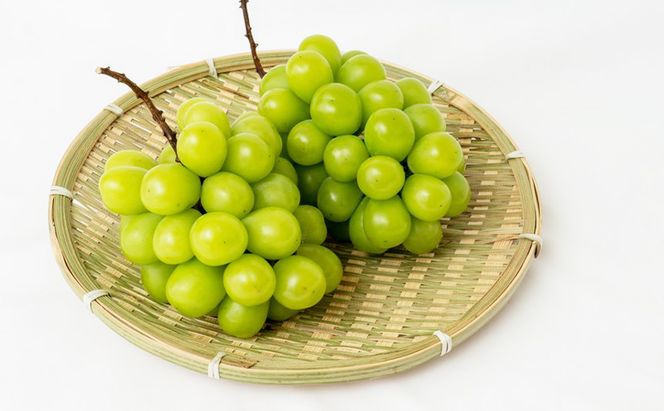 ぶどう 2026年 先行予約 シャイン マスカット 晴王 2房 (1房480g以上) 化粧箱入り ブドウ 葡萄 岡山県産 国産 フルーツ 果物 ギフト 