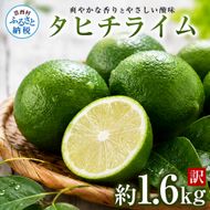 訳あり タヒチライム 約1.6kg ライム サイズおまかせ 国産 種なし 柑橘類 かんきつ類 防腐剤不使用 ノーワックス 新鮮 冷蔵 家庭用 果物 くだもの フルーツ 秋 旬 ジュース カクテル ジンライム 料理 アレンジ 爽やか 芸西村 高知県産