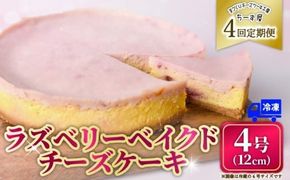 4回 定期便 ラズベリーベイクド チーズケーキ 4号 12cm 冷凍 スイーツ デザート ケーキ ベリー 洋菓子 お菓子 おやつ 手作り お取り寄せ ご褒美 ギフト プレゼント 贈り物 誕生日 記念日 パーティー 濃厚 クリーミー 酸味 爽やか サワークリーム クッキー バター 専門店 チーズケーキ工房 ちーず屋 数量限定 人気 おすすめ ランキング 4ヶ月連続 頒布会 高知県 安芸市