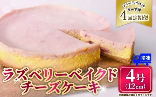 4回 定期便 ラズベリーベイクド チーズケーキ 4号 12cm 冷凍 スイーツ デザート ケーキ ベリー 洋菓子 お菓子 おやつ 手作り お取り寄せ ご褒美 ギフト プレゼント 贈り物 誕生日 記念日 パーティー 濃厚 クリーミー 酸味 爽やか サワークリーム クッキー バター 専門店 チーズケーキ工房 ちーず屋 数量限定 人気 おすすめ ランキング 4ヶ月連続 頒布会 高知県 安芸市