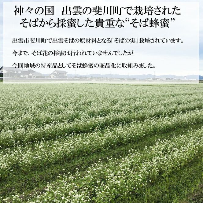 神の国 出雲産 純粋そば蜂蜜 120ｇ×2瓶 合計240ｇ 322032_GM001