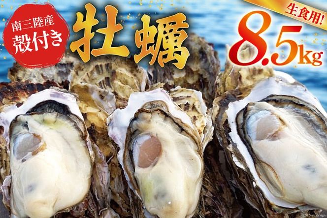 【期間限定発送】牡蠣 南三陸志津川産 殻付き牡蠣 8.5kg 50個前後 [南三陸牡蠣倶楽部 宮城県 南三陸町 30ao0003 カキ かき 生牡蠣 魚貝類 生牡蠣 貝 海鮮 魚介類 オイスター カキフライ カキ鍋 アヒージョ 魚介 期間限定 冷蔵 新鮮 濃厚