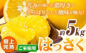 樹上完熟 ご家庭用 訳あり はっさく 八朔 みかん 5kg ＋250g (傷み補償分) 池田鹿蔵農園 @日高町《4月上旬-5月末頃出荷》和歌山県 日高町 送料無料 はっさくみかん 家庭用 光センサー選別 訳あり八朔 訳ありはっさく【配送不可地域あり】---wsh_idn323_4j5m_25_12000_5kg---