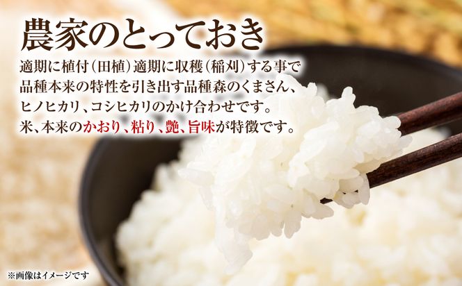 【定期便6回】 【令和7年産】 熊本県八代市産 森のくまさん 農家のとっておき 3kg×6回 米 お米 精米  国産 白米 ごはん ご飯
