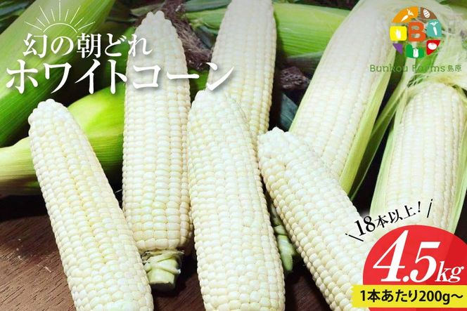 y茧szBG036 yߘa8Nxoוz6{oׁI ̒ǂ zCgR[ 200gȏ×18{ȏ 4.5kg `SI̗ Y`