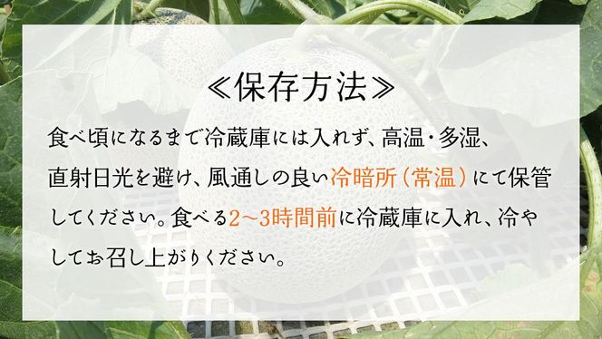 【5月下旬頃より発送】茨城県産 青肉・赤肉メロンセット 秀品または優品 3Lまたは4Lサイズ×各1玉入 おすすめ JA全農いばらき JA メロン めろん フルーツ くだもの 果物 国産旬 定番 旬 期間限定 青肉 赤肉 食べ比べ アンデス クインシー エルソル