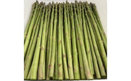 朝採り新鮮アスパラガス 800g【Mサイズ】 | 野菜 アスパラガス グリーンアスパラ 旬 とれたて 春野菜 春 朝採り 朝採れ とれたて 新鮮 みずみずしい サラダ 甘い お取り寄せ 産地直送 冷蔵 岐阜県 瑞穂市