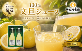 文旦 フレッシュ ジュース 2本セット 果汁 100％ ぶんたん 土佐文旦 高知県 柑橘 みかん 国産 ストレート ギフト 贈答用 720ml 2本 高知特産 フルーツジュース 濃厚 香り 甘味 苦み 農家直送 瓶詰め 果実本来 味 風味 太陽 南国 返礼品 安芸市 高知県
