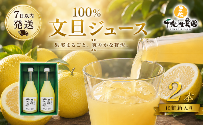 文旦 フレッシュ ジュース 2本セット 果汁 100％ ぶんたん 土佐文旦 高知県 柑橘 みかん 国産 ストレート ギフト 贈答用 720ml 2本 高知特産 フルーツジュース 濃厚 香り 甘味 苦み 農家直送 瓶詰め 果実本来 味 風味 太陽 南国 返礼品 安芸市 高知県