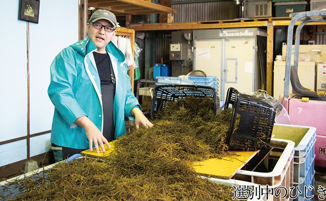 瀬戸内で採れた島磯香る わかめ 22g×4袋と ひじき 28g×5袋 セット【岡山 瀬戸内海 鉄釜炊 天然】 鉄釜製法 鉄分 無添加 無着色 添加物不使用 