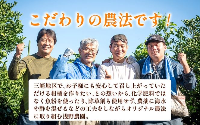 【先行予約】訳あり 清見オレンジ計5kg ※離島への配送不可（2026年3月上旬頃より順次発送予定） IKTAC008