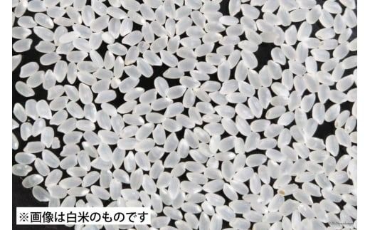 米 南三陸町産 ひとめぼれ めぐりん米 玄米 1kg [南三陸さんさんマルシェ 宮城県 南三陸町] お米 ブランド米 ご飯 ごはん コメ こめ 小分け 家庭用 FAK-0011