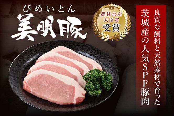 冷凍餃子 80個（20個×4袋） ブランド豚 「 美明豚 」（茨城県共通返礼品・行方市産） 小分け 餃子 ギョウザ 国産 豚肉 野菜 惣菜 おかず フライパン