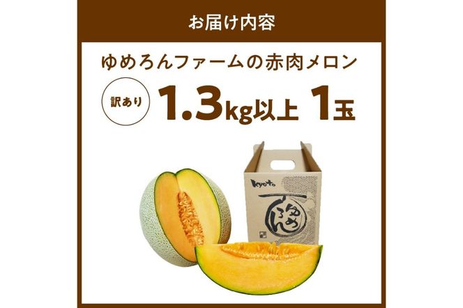 【先行予約／数量限定100】ゆめろんファームの赤肉メロン（訳あり品）（2025年6月上旬～発送）　DE00108
