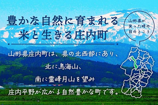 【新米受付】【R8.10月以降発送】令和8年産 特別栽培米 つや姫 5kg 吉祥ファーム 5kg×1袋 2026年産 ブランド米 米 国産 単一原料米 山形 庄内平野 コシヒカリの原点、亀の尾発祥の地 庄内