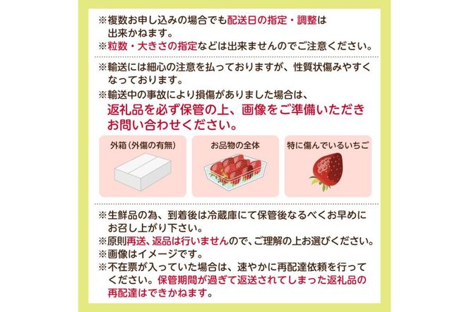 ns120-001 【先行予約】 栃木県産 とちあいか約250g×4パック 【栃木県共通返礼品】