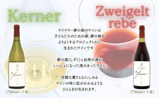 【数量限定】余市「ワイナリー夢の森」ワイン２本セット_Y034-0115