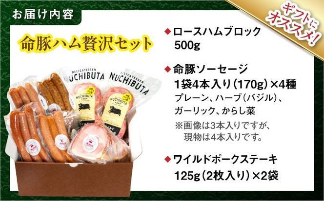 『ハム贅沢セット』 豚肉 ポークステーキ ソーセージ ハム 詰め合わせ お取り寄せ 国産 ギフト 冷凍 沖縄市 / DELICATESSEN NUCHIBUTA [BCAR007]