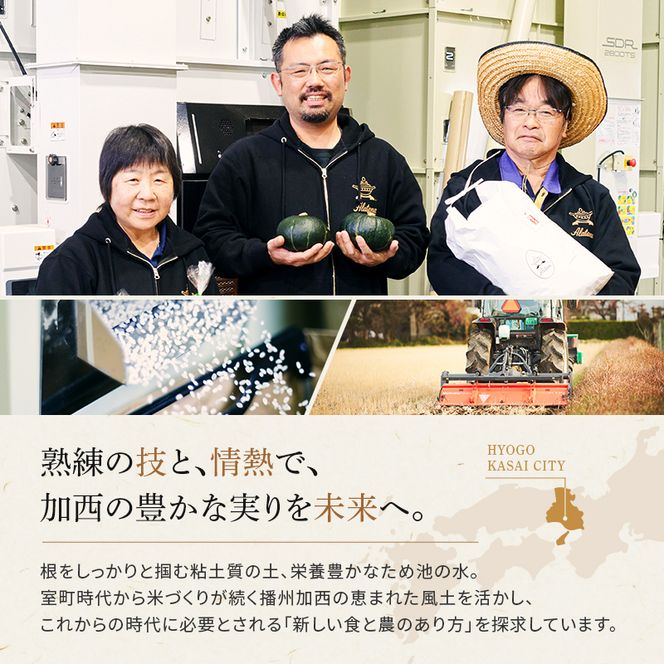 食べてみたいお米 Alatana 米 「三ツ星」 白米 10kg 精米 お米