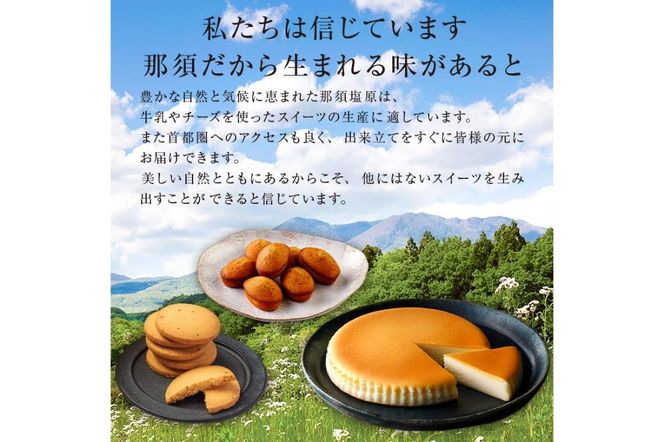 ns002-022-4 御用邸チーズクッキー4枚入