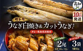 うなぎ 白焼き【10日程度で発送】贈答用 高知県産鰻の白焼き120～130ｇ2尾 カット鰻50ｇ×3袋 蒲焼きのタレ5袋 天日塩20ｇ yw-0130