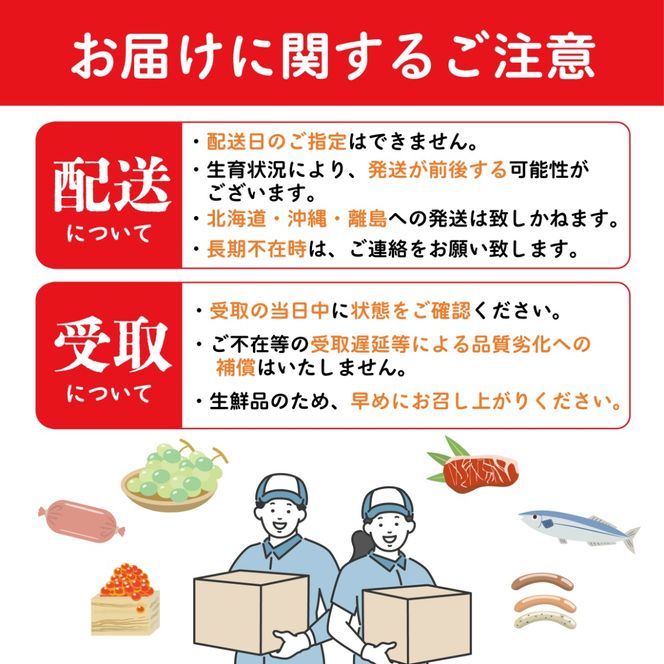【4月発送】 デコポン 不知火 約2kg 化粧箱 柑橘 みかん 蜜柑 オレンジ くだもの 果物 フルーツ ジュース ゼリー スイーツ 贈答用 ギフト おすすめ 高級 期間限定 先行予約 グルメ 香川県 丸亀市