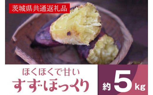 ホクホクで甘いさつまいも すずほっくり5kg（茨城県共通返礼品・行方市産）(AK205)