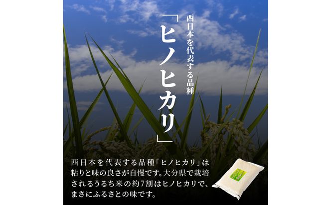 【B01012】大分ヒノヒカリ 3kg×2