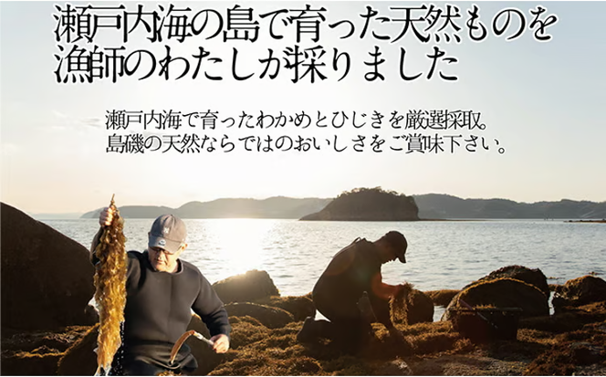 瀬戸内で採れた島磯香る わかめ 22g×4袋と ひじき 28g×5袋 セット【岡山 瀬戸内海 鉄釜炊 天然】 [№5735-1287]