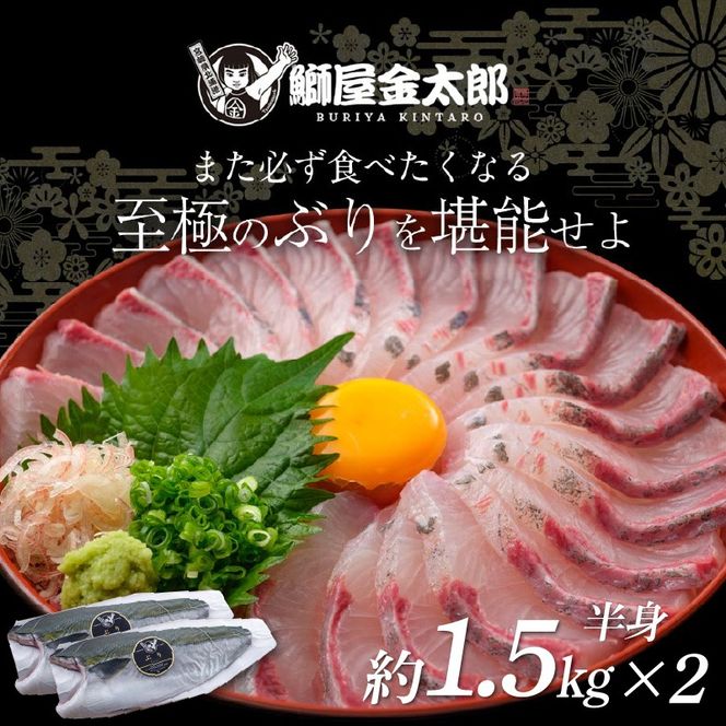 宮崎産 新海屋 鰤屋金太郎 金太郎 ぶり フィレ 約1.5kg×2枚 (1匹) 　冷蔵 N018-ZB720_1