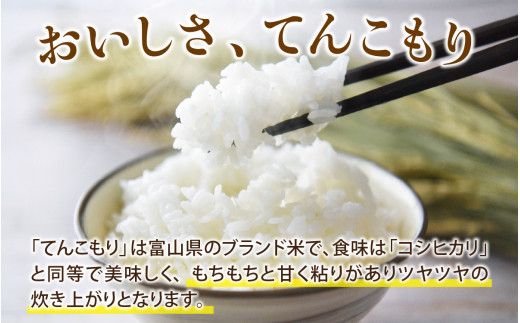 富山県滑川産「てんこもり」与文のお米（精米10kg）産地直送 袋 精米10kg おにぎり お米 白米 国産 ご飯 ごはん 富山県 滑川市 アグリめぐみ B-050002