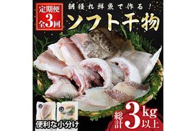 【定期便・全3回】朝獲れ鮮魚で作る！魚屋さんの 自家製 ソフト 干物(合計1kg以上・5～10枚×3回)アジ イワシ カマス イカ タイ ブリカマ セット 詰め合わせ ひもの 焼き魚 おかず お惣菜【YS-9】【株式会社安田】 [YS-9]