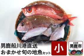 男鹿船川港直送おまかせ旬の地魚セット（小）秋田県 男鹿市 萬漁水産|23_mgs-010101