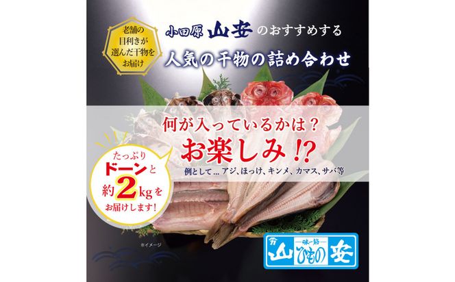 【 小田原 山安 】 おまかせ干物セット 約2kg 【 縞ほっけ開き干し 金目鯛開き干し 真あじ開き干し  さば半身干し かます開き干し 干物 大容量 詰合せ 神奈川県 小田原市 】 142069_BU013