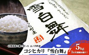 【令和7年産】志賀高原の麓で育った 山ノ内町産コシヒカリ『雪白舞』5kg 3か月連続お届け！ 米 お米 コシヒカリ 5kg 5キロ ブランド米 定期 3ヶ月 