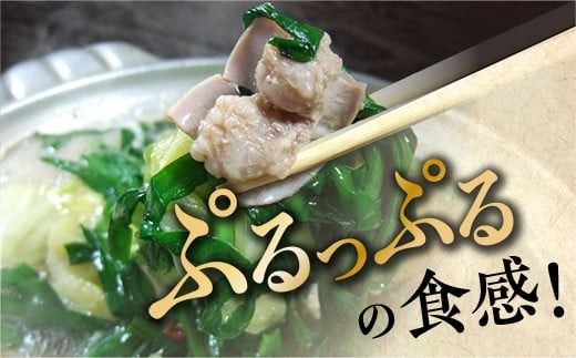 博多牛もつ鍋　B ／ モツ鍋 ホルモン鍋 ちゃんぽん麺 国産 福岡県 特産　FZ004