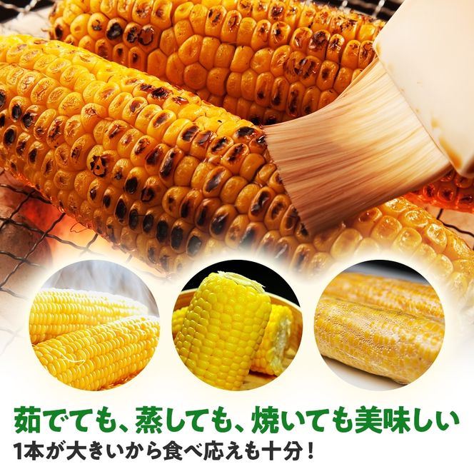北海道産 スイート コーン めぐみゴールド 2Lサイズ 10本 2027年8月中旬～下旬頃お届け とうもろこし 恵味 めぐみ トウモロコシ 旬 野菜 産地直送 お取り寄せ 北海道 丸田農園 送料無料 洞爺湖 