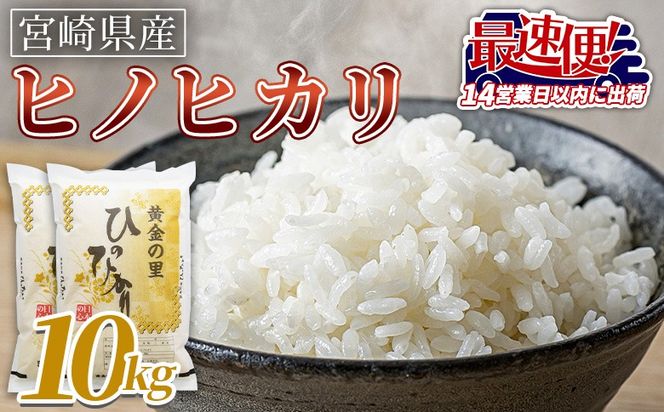＜宮崎県産米 ヒノヒカリ 10kg＞ 入金確認後、14営業日以内に順次出荷【 コメ 米 お米 白米 ご飯 飯 炊き立て こめ ひのひかり 宮崎県 県産 粒 炊き込みご飯 おにぎり 主食 】【b0920_su_x3】