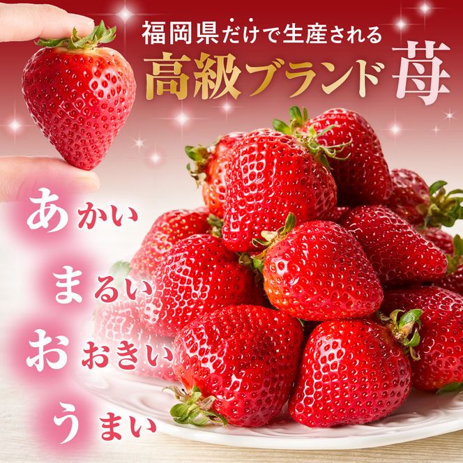 プレミアムオーガニックあまおう 「いせいちご」 スペシャルギフト【伊世いちご畑】_HA0480