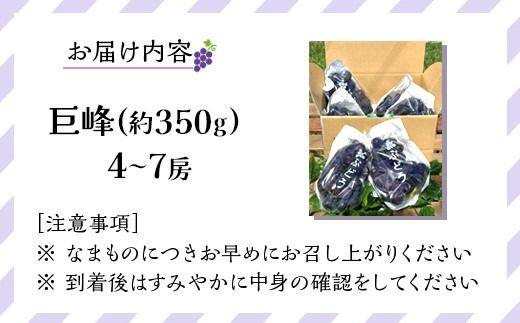 先行予約 和歌山 有田産 巨峰 約2kg 4〜7房 ぶどう フルーツ 果物［2026年8月下旬以降発送］  DU01