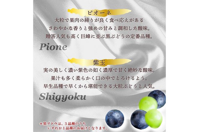 田園紳士厳選 シャインマスカット・黒葡萄セット 黒葡萄 セット 詰め合わせ ふるさと納税 シャインマスカット ふるさと納税 フルーツ セット 新鮮 国産 果実 くだもの 送料無料　DE00143