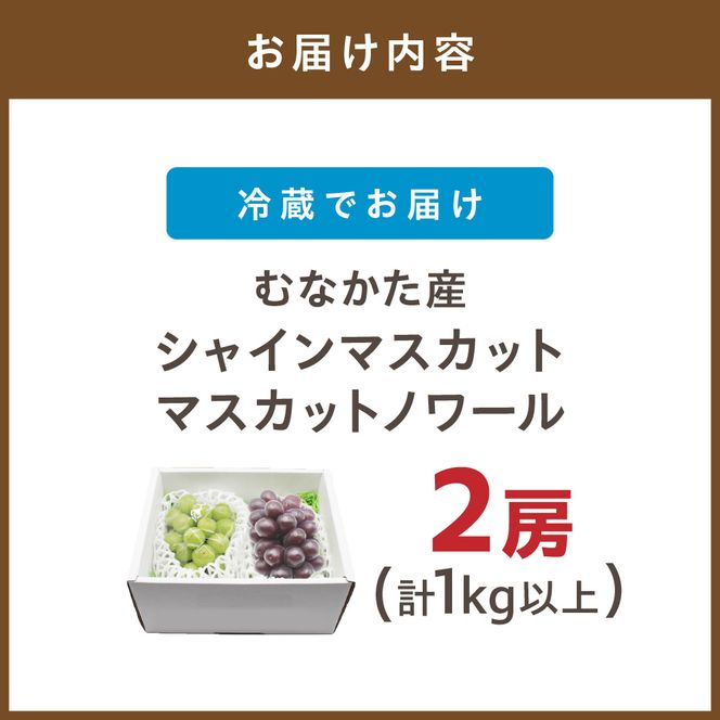 JAむなかた厳選【むなかた産シャインマスカット・マスカットノワール】2房(1kg以上)【JAほたるの里】_HA1475