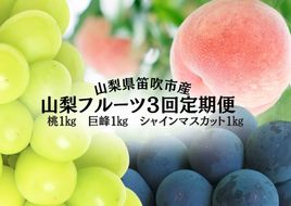 ＜25年発送先行予約＞山梨のフルーツ定期便　全３回　桃　巨峰　シャインマスカット 167-140